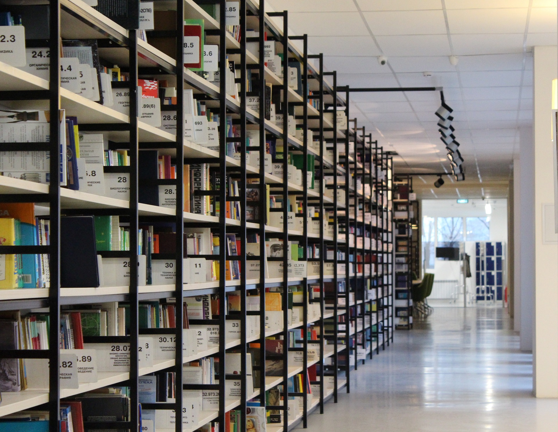 Library shelves